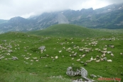 Černá Hora, Durmitor