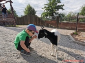 ZOO Hluboká nad Vltavou